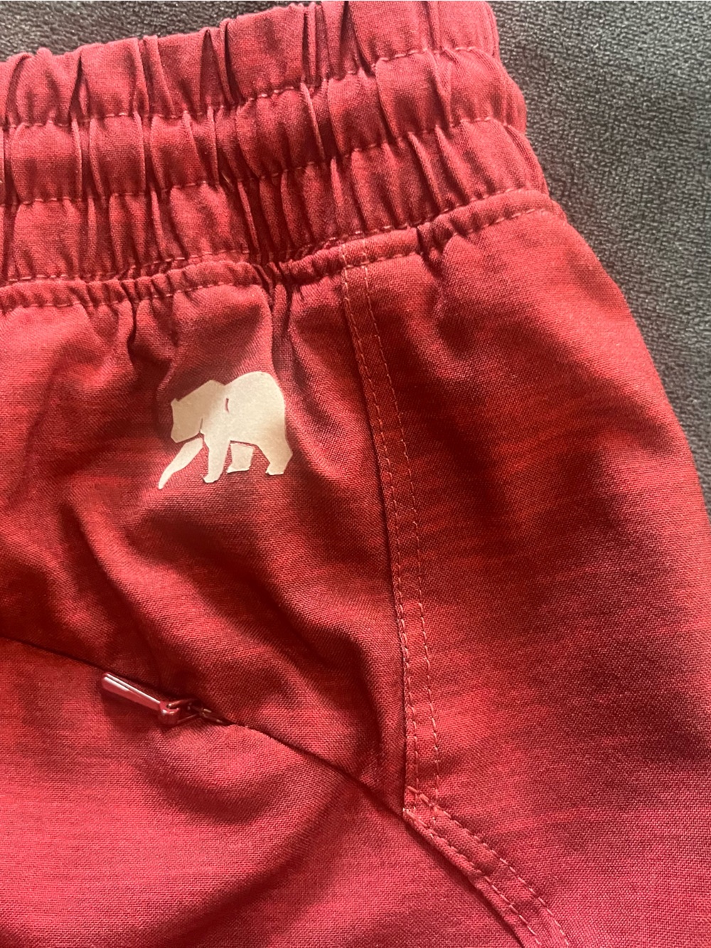 The Normal Brand Men’s Athletic Red Shorts